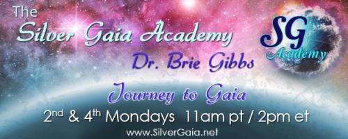 The Silver Gaia Academy -  with Dr. Brie Gibbs: A Rough Guide to Spiritual Teachers and Teachings: 
