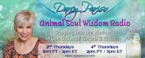 Animal Soul Wisdom Radio: Tapping into the Wisdom of Our Animals, Angels and Masters with Darcy Pariso : Getting to Know You: Animal Communication 